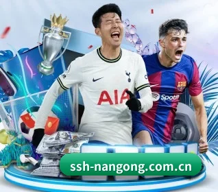 ssh-nangong.com.cn的方向